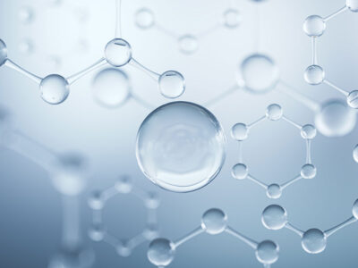 Kwasy w zakwaszaczu Salmacid