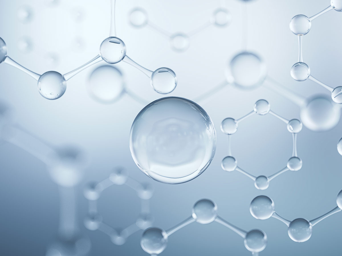 Kwasy w zakwaszaczu Salmacid