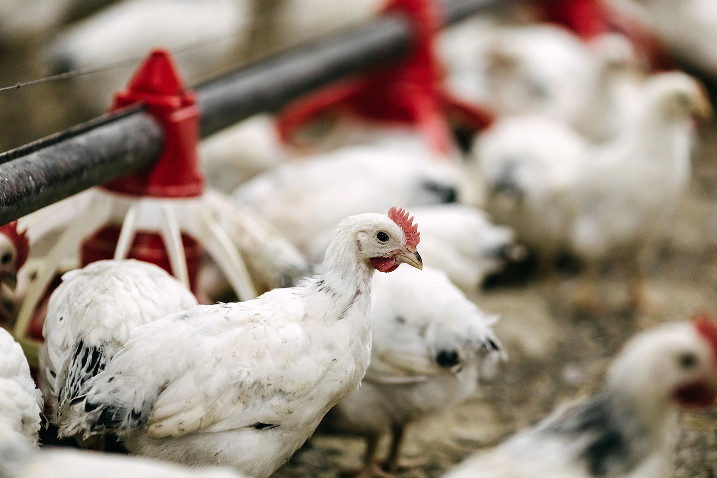 Case study realne efekty